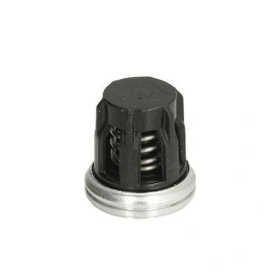 Afbeelding van DT Spare Parts 1.10275 Overstroomklep
