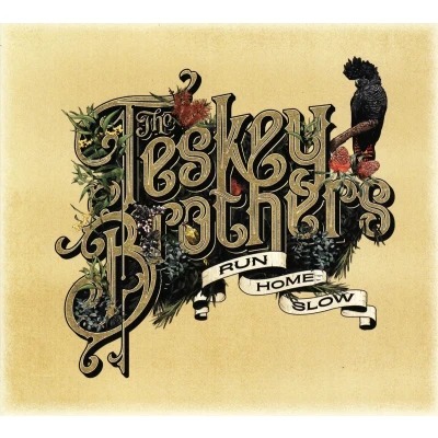 Afbeelding van The Teskey Brothers Run Home Slow (CD)