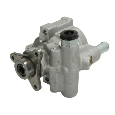 Afbeelding van Servo pomp SASIC 7074001