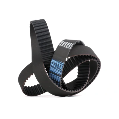 Afbeelding van Getande riem DAYCO 94864