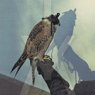 Afbeelding van You re Nothing Iceage