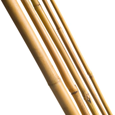 Afbeelding van Nature Bamboestok Naturel Klim En Geleide Artikel 1x0.8x90 cm