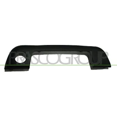 Afbeelding van PRASCO BM0148702 Deurgrepen Buiten, Links voor Zwart BMW: 3 Touring, Saloon