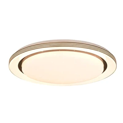 Afbeelding van Reality LED Plafondlamp Plafondverlichting 21W Aanpasbare Kleur Afstandsbediening Dimbaar Sterlicht Rond Zwart Kunststof