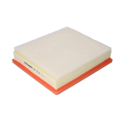 Afbeelding van Filtron Luchtfilter AP 137/4