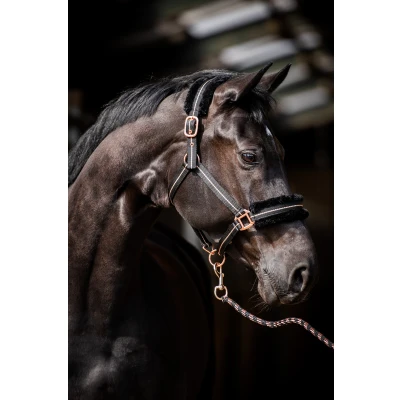 Image de HB Licol Europe Rose Noir Full