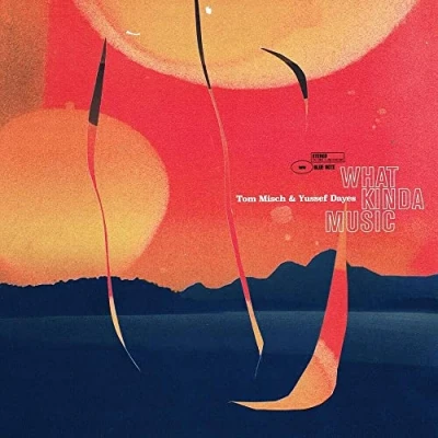 Afbeelding van Tom &amp; Yussef Dayes Misch What Kinda Music (2 LPs)