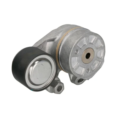 Afbeelding van DAYCO APV3142 Riemspanner