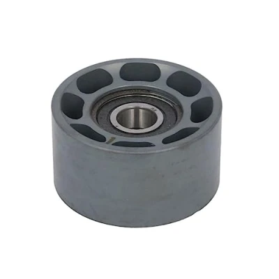 Afbeelding van DAYCO APV1051 Geleiderol
