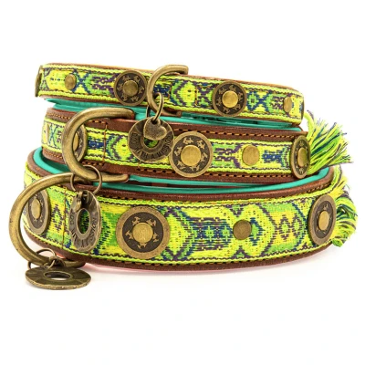 Afbeelding van Dwam Halsband Boho Diego Groen Hondenhalsband 26 29x2 cm