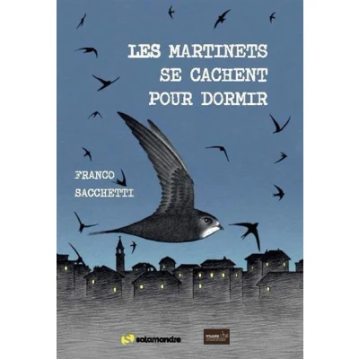 Image de Les martinets se cachent pour dormir