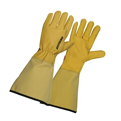 Image de ROSTAING Gants ROSERAIE Paire de Longs en Cuir Traité Hydrofuge Tous Travaux Milieu Sec et Humide Taille des Rosiers Petits Épineux Manchette Protection Avant bras