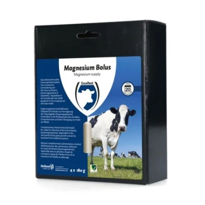 Afbeelding van Magnesium bolus