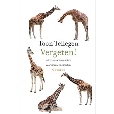 Afbeelding van Vergeten!