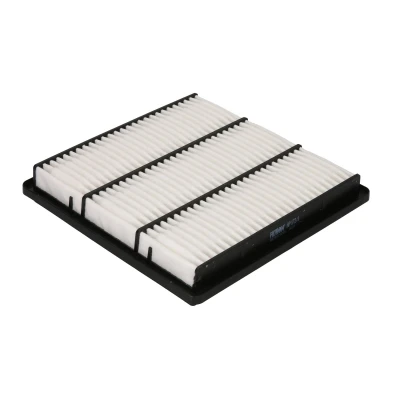 Afbeelding van FILTRON AP 172/1 Luchtfilter 37 224 225 Filter insert MITSUBISHI: L200 III Pickup, PAJERO Sport 1 SUV, 2