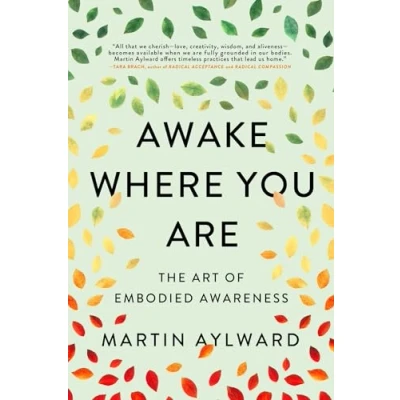 Afbeelding van Awake Where You Are