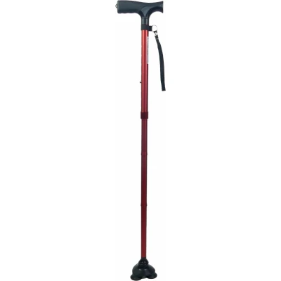 Afbeelding van Wandelstok met Voet Rood