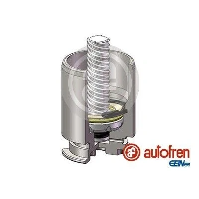 Afbeelding van AUTOFREN SEINSA D025422LK Zuiger, remklauw 38 Achteras BOSCH