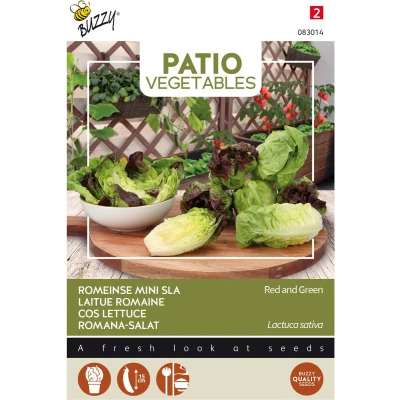 Afbeelding van Patio Veggies, Romeinse Mini sla (gemengd) Buzzy