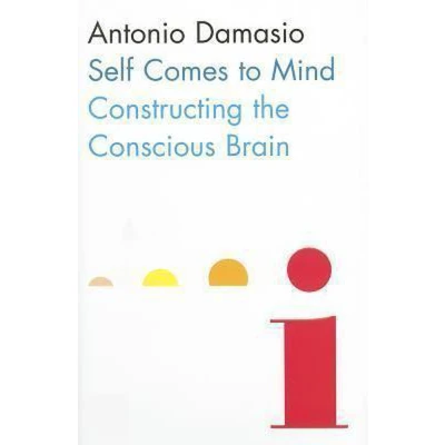 Afbeelding van Self Comes to Mind Constructing the Conscious Brain