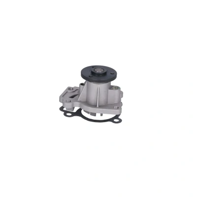 Afbeelding van FEBI BILSTEIN 183289 Waterpomp Met pakking Plaatstaal RENAULT: Megane 4, DACIA: Dokker Express