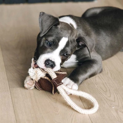 Image de Kentucky Dogwear Jouets pour Chien Cotton Rope Baseball