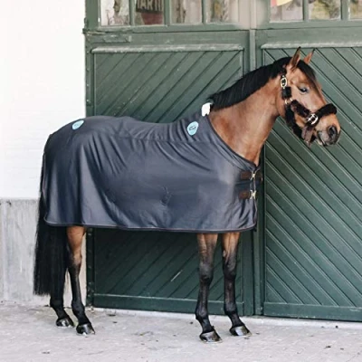 Afbeelding van Kentucky Magnetic Rug Recuptex 160/213 Agradi.be