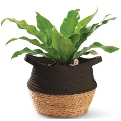 Afbeelding van Praknu Plantenmand van zeegras en duurzaam katoen, 25 in diameter, plantenpot voor binnen, opvouwbaar, plantenmand, opslag decoratie (zwart)