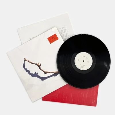 Afbeelding van P.J. Harvey I Inside the Old Year Dying (LP)