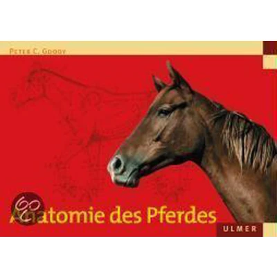 Afbeelding van Anatomie Des Pferdes