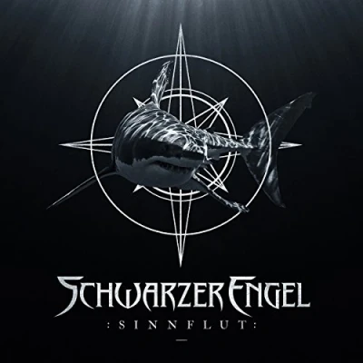 Afbeelding van Sinnflut Digi/Ep