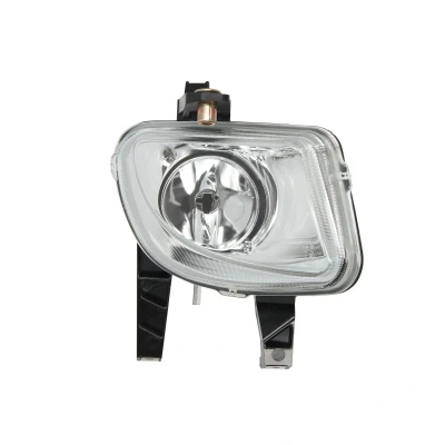 Afbeelding van TYC 19 0555 05 2 Mistlampen Chroom rechts FIAT: Grande Punto Hatchback
