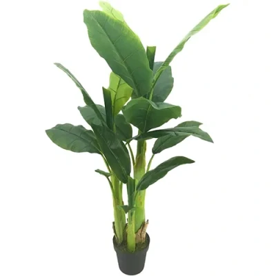 Afbeelding van Bananenboom 125 cm Buitengewoon de Boet