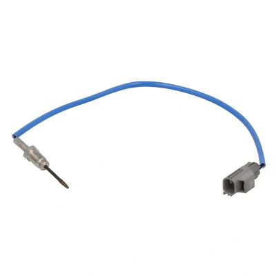 Afbeelding van DELPHI TS30393 12B1 Sensoren
