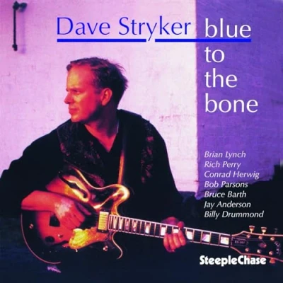 Afbeelding van Dave Stryker Blue To The Bone (CD)