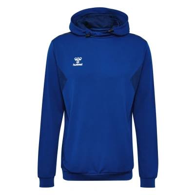 Afbeelding van Hummel Authentic PL Hoodie, Heren, Maat: XXL, True blue