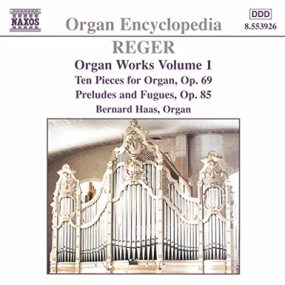 Afbeelding van Bernhard Haas Reger: Organ Works 1 (CD)