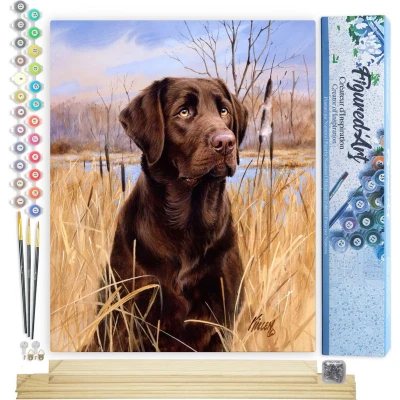 Afbeelding van Figured&#039;Art Schilderen op Nummer Volwassenen canvas Labrador Handwerk acrylverf Kit DIY Compleet 40x50cm met houten lijst