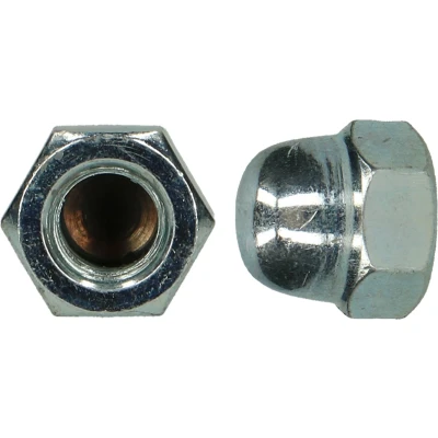 Afbeelding van PGB FASTENERS Zeskant Dopmoer Verzinkt Cr3+ Staal M 14