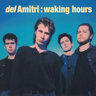 Afbeelding van Del Amitri Waking Hours (LP)