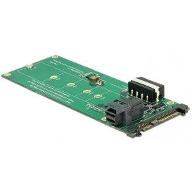 Afbeelding van Delock 62945 Interface Kaart/Adapter Ingebouwde M.2, Accessoires voor harde schijven