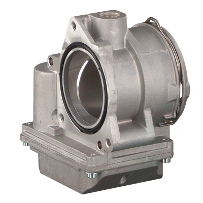 Afbeelding van Febi Bilstein Gasklephuis 46129
