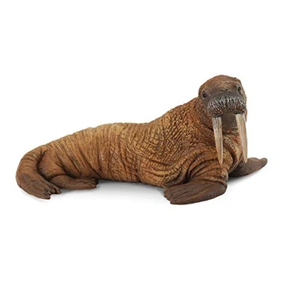 Afbeelding van COLLECTA Walrus (L)