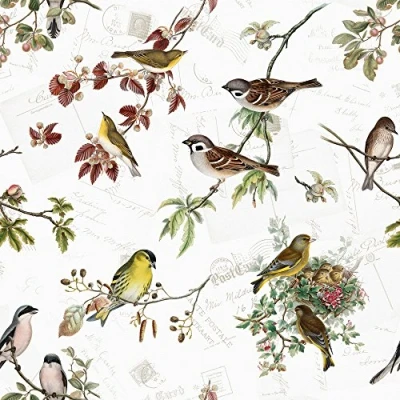 Afbeelding van Papieren servetten, 33 x cm, huisvogelmotief, 20 stuks