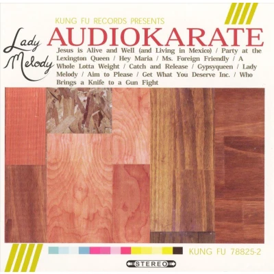 Afbeelding van Audio Karate Lady Melody