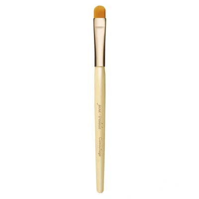 Afbeelding van Jane Iredale Pinceau Camouflage