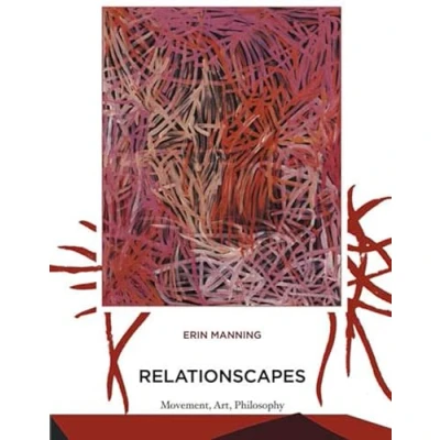 Afbeelding van Relationscapes