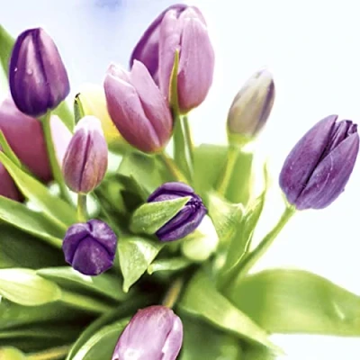 Afbeelding van 20 stuks servetten lente bloemen Pasen tafeldecoratie 33x33cm
