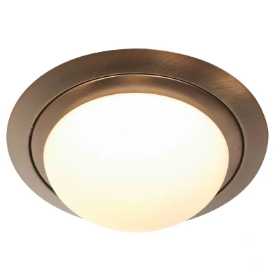 Afbeelding van Steinhauer plafonniere Ikaro brons metaal 29 cm ingebouwde LED module 1366BR