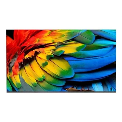 Image de Philips 58HFL6214U Classe de diagonale 58&quot; Professional MediaSuite TV LCD rétro éclairée par LED soins santé/hôtel Smart Android 4K UHD (2160p) 3840 x 2160 gris anthracite